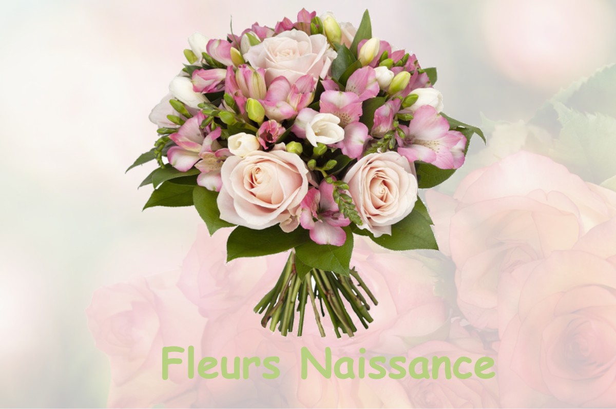 fleurs naissance ORNON