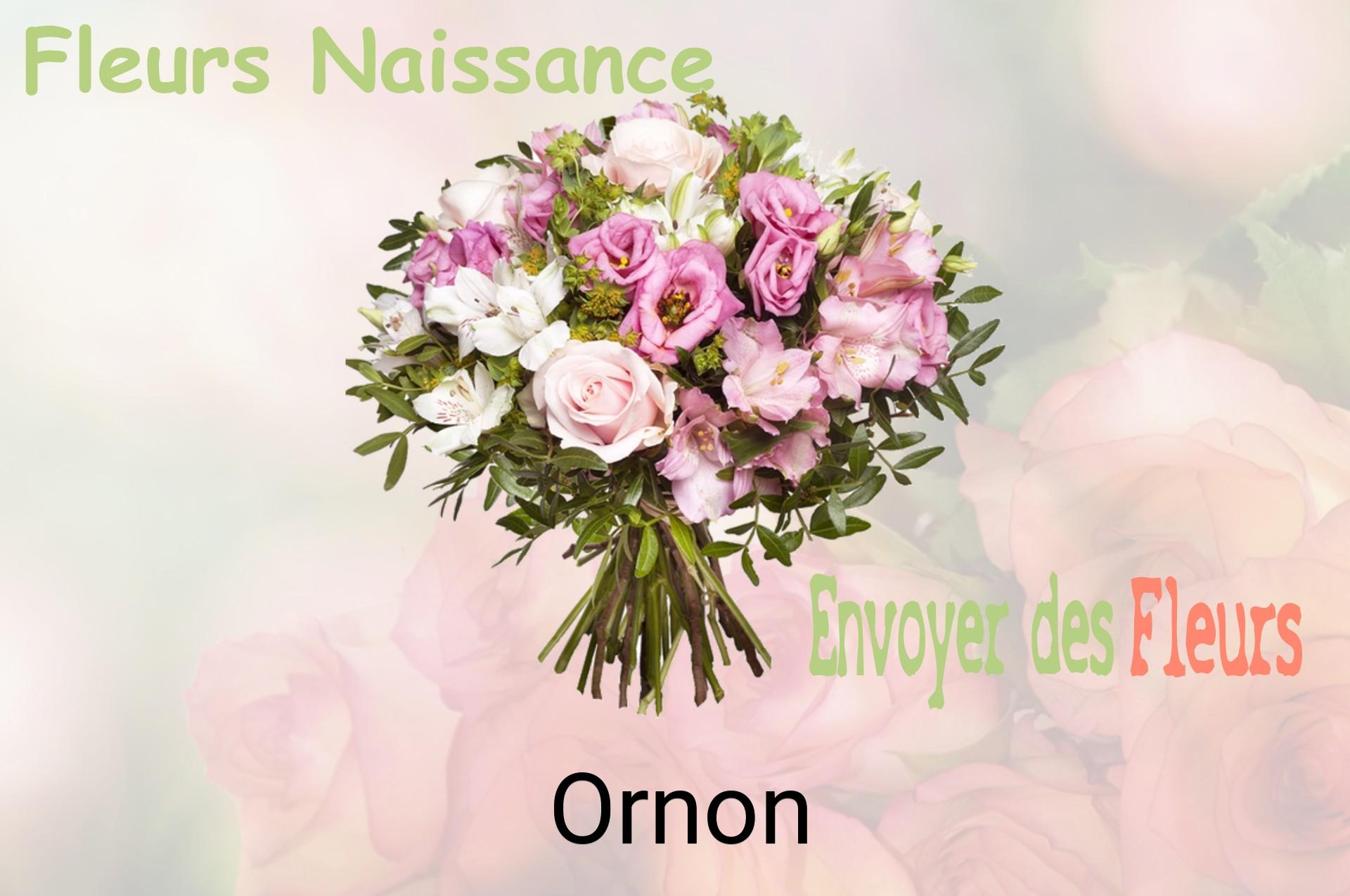 Bouquet de fleurs de naissance livré à Ornon