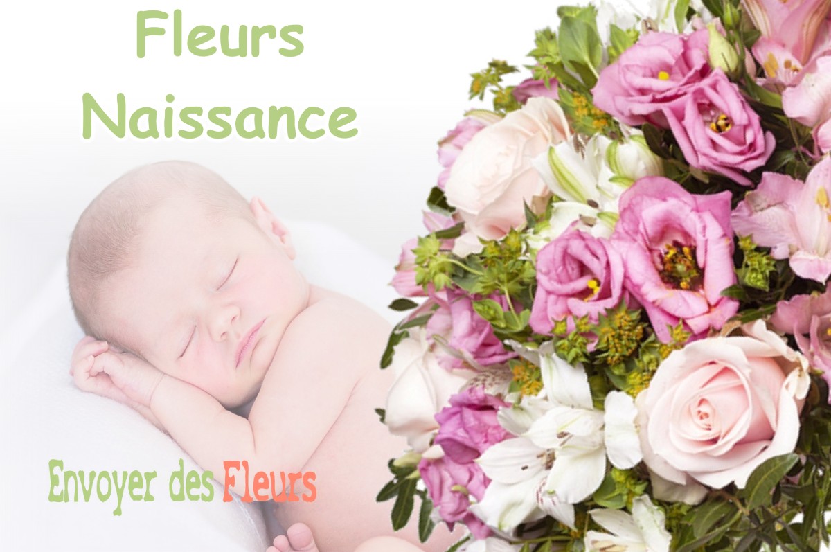 lIVRAISON FLEURS NAISSANCE à ORNON